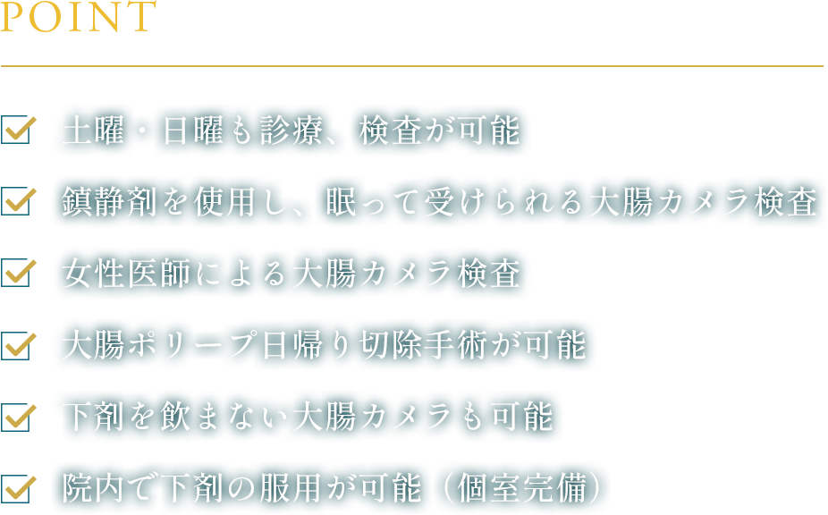 土日も診療、鎮静剤使用、女医による検査、など